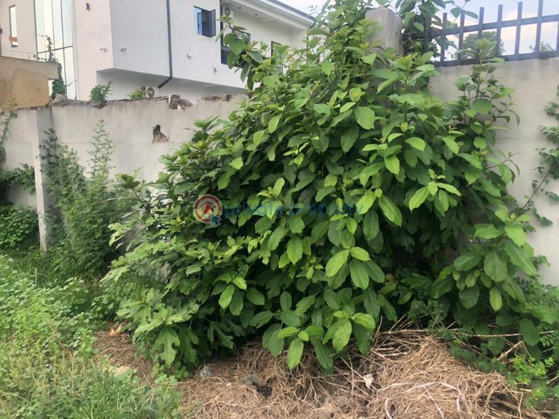 Mixed use Land For Sale Oduduwa Crescent Ikeja GRA Lagos - 3