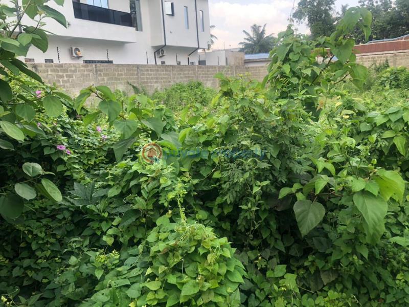 Mixed use Land For Sale Oduduwa Crescent Ikeja GRA Lagos - 2