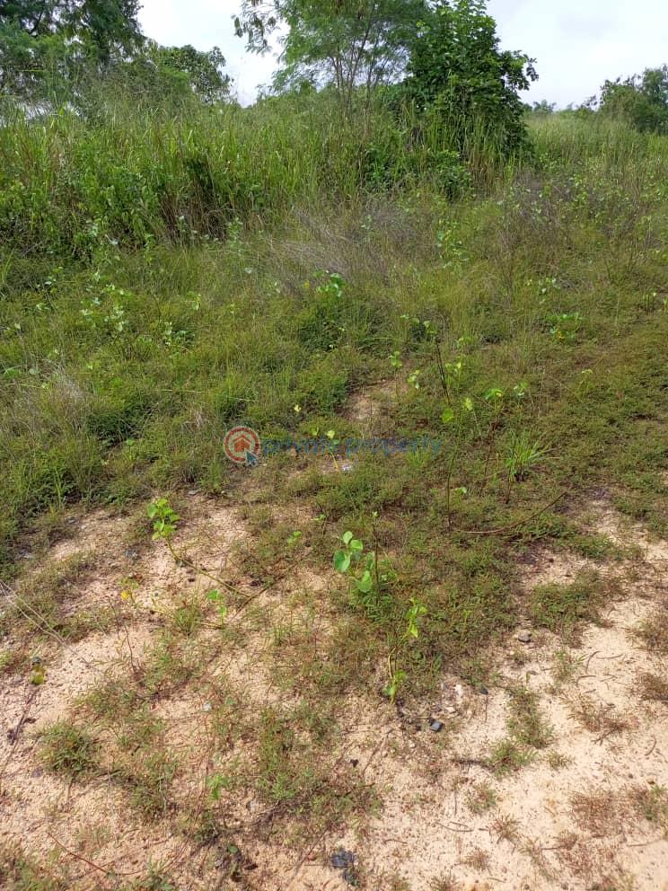 Land For Sale Ibeju Lekki Lagos - 1