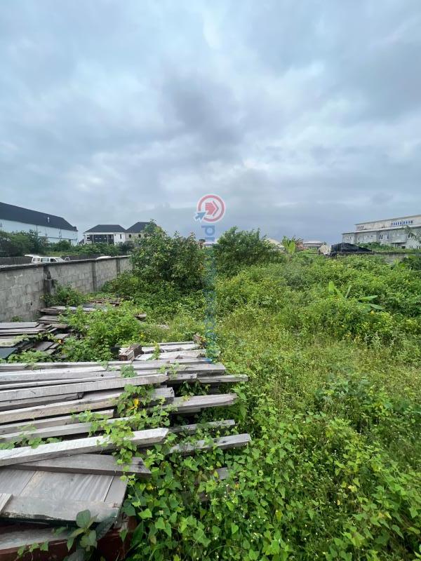 1634sqm land with governor's consent, directly on the interlocked road in front of lakowe lakes golf & resort estate, lakowe, lekki. price is negotiable - 2 Land For Sale On The Interlocked Road Right In Front Of The Entrance Of Lakowe Golf & Resort, Lakowe, Lekki Lakowe Ajah Lagos - 2