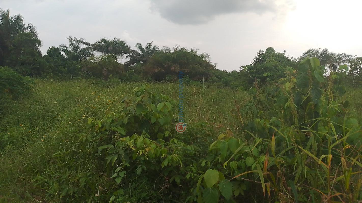 Mixed use Land For Sale Behind Kpansia Market, Off Ayalla Hotels Annex, Kpansia, Yenagoa, Bayelsa State. Yenegoa Bayelsa - 1
