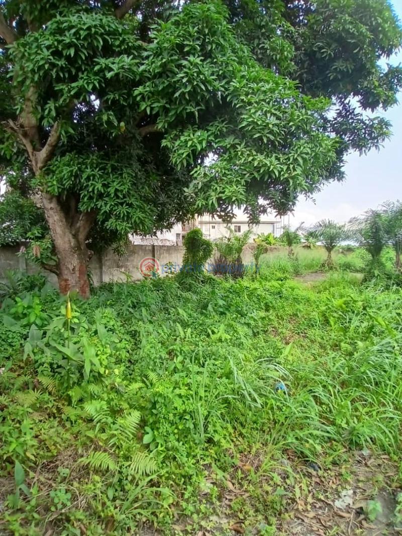 Residential Land For Sale Off Ado Road Ajah Ado Ajah Lagos - 2