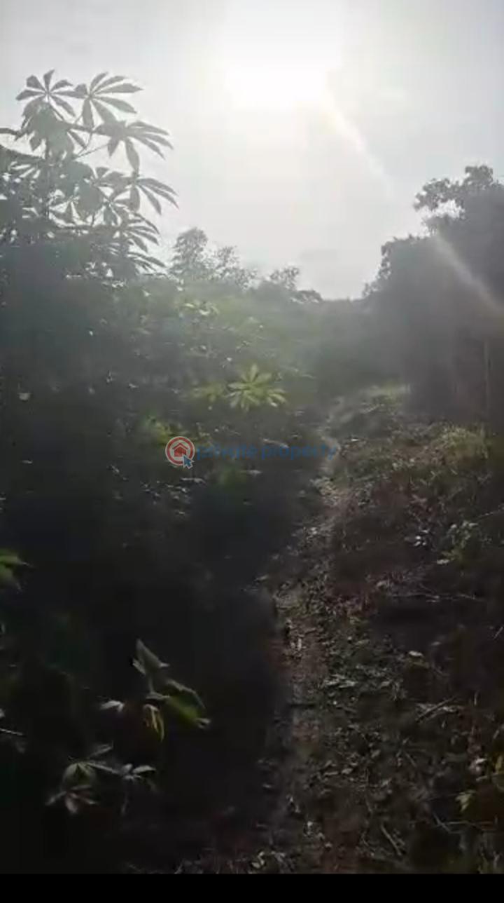 Land For Sale Independence Layout Enugu (atch.p) Enugu Area  - 2