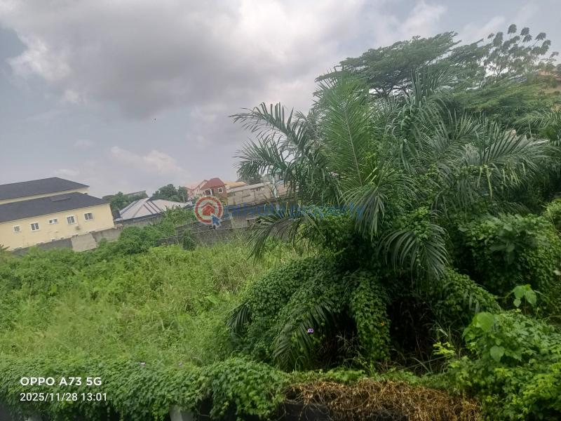Residential Land For Sale Oke Ira Nla Ajah Lagos - 0