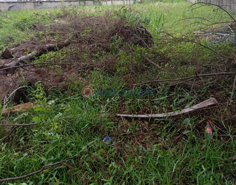 800sqm of land - 2 Residential Land For Sale Chevron, Lekki Chevron Drive Lekki Lagos - 2