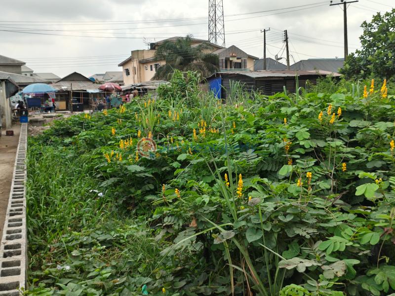 Mixed use Land For Sale Igando Bustop Off Lekki Epe Express Ibeju-Lekki Lagos - 4