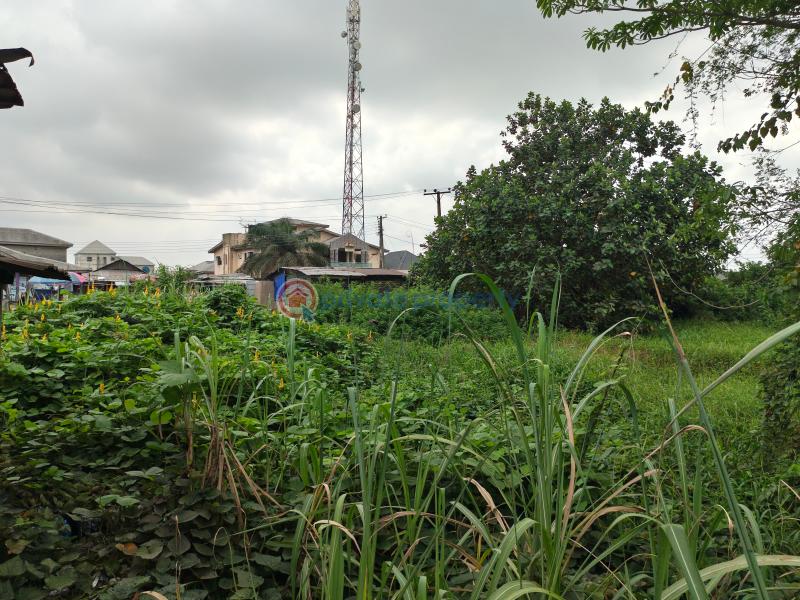 Mixed use Land For Sale Igando Oloja Town ,near Ibeju Lekki Local Government ,lekki Epe Ibeju-Lekki Lagos - 13
