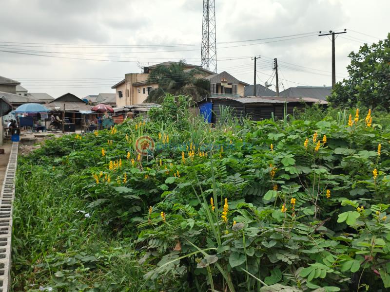 Mixed use Land For Sale Igando Oloja Town ,near Ibeju Lekki Local Government ,lekki Epe Ibeju-Lekki Lagos - 14