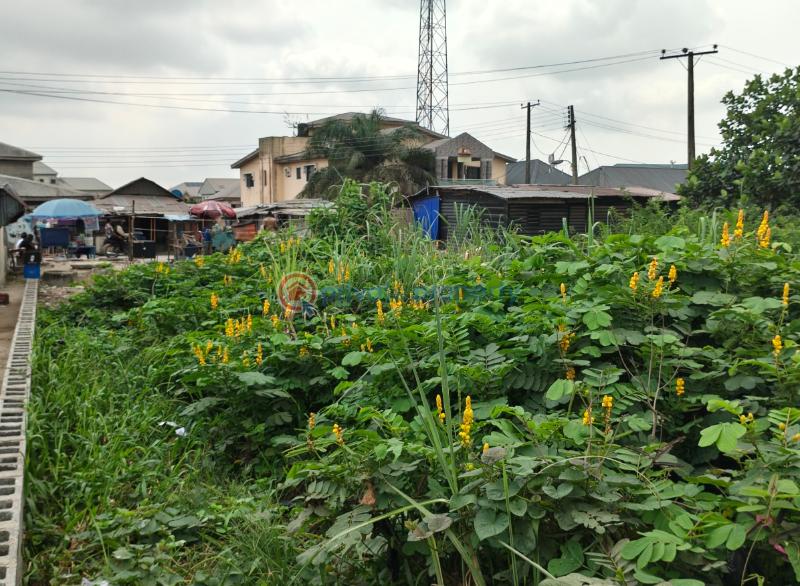 Land For Sale Igando Bustop. Off Lekki Epe Express Ibeju-Lekki Lagos - 3