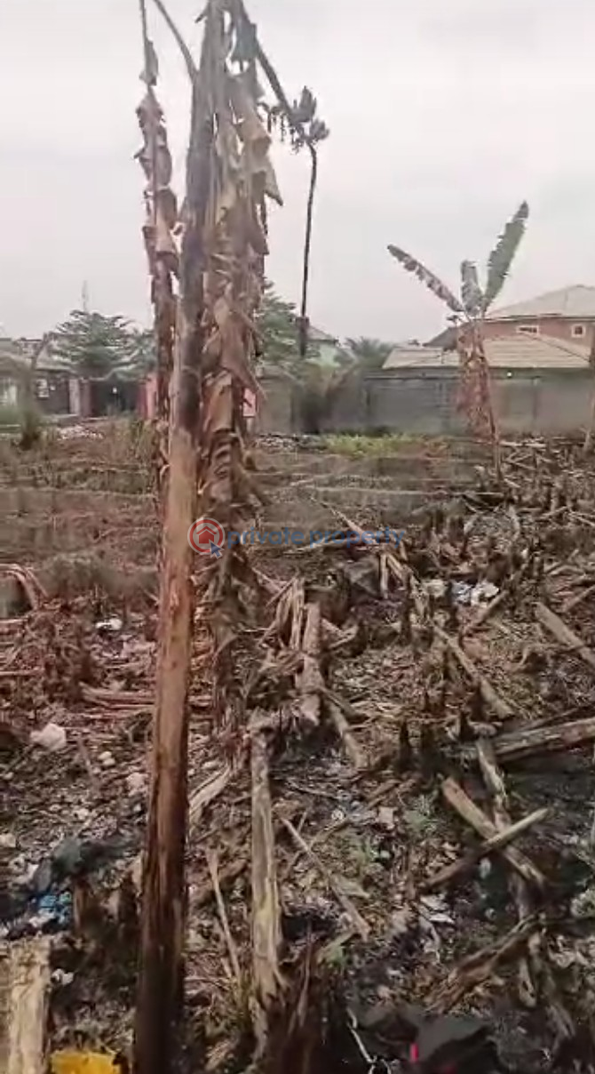 Commercial Land For Sale Unity Avenue, Oke Ira Nla, Ajah Lekki. Ado Ajah Lagos - 3