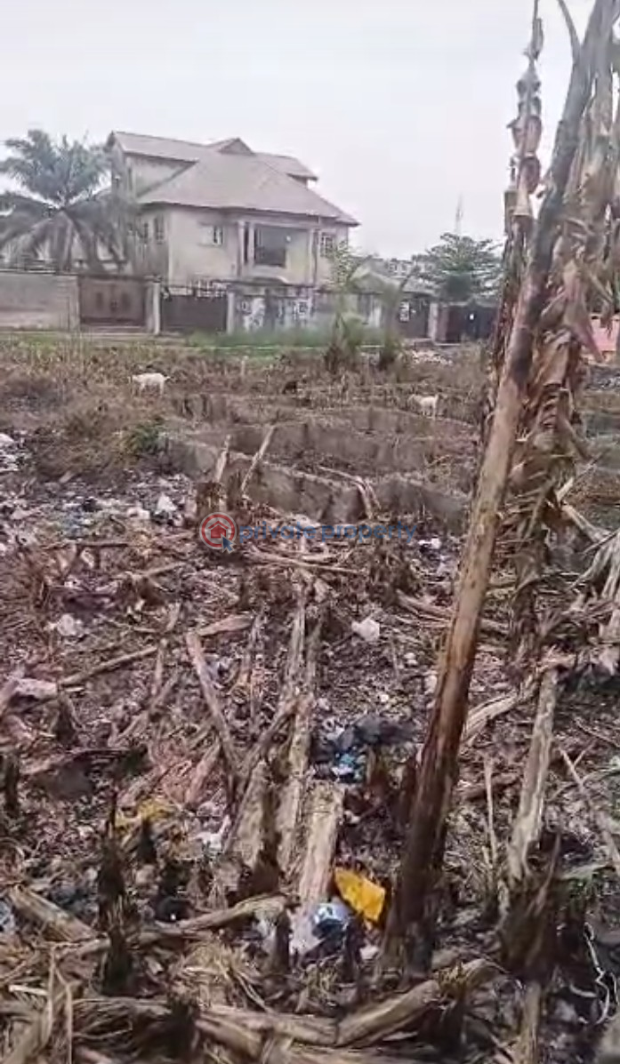 Commercial Land For Sale Unity Avenue, Oke Ira Nla, Ajah Lekki. Ado Ajah Lagos - 2