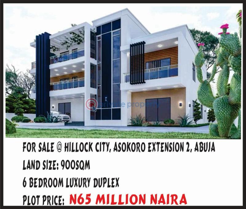 6 bedroom Residential Land For Sale Asokoro Extension Opposite Kugbo Furniture Asokoro Abuja Phase 1 