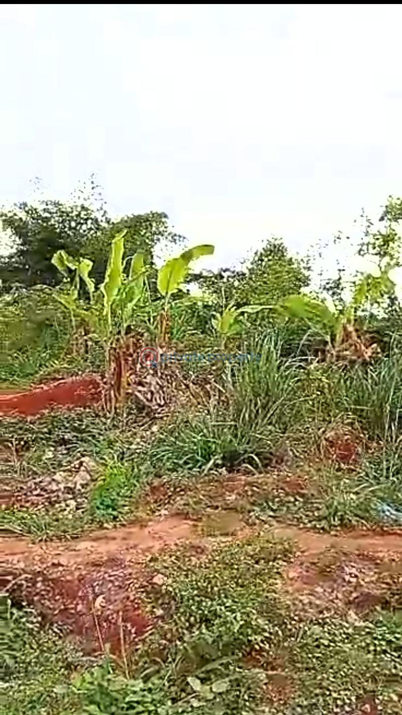 Mixed use Land For Sale Directly Along Ever Busy Business Hub Benin Ekpoma/auchi Express Road Just Little After Ambrose Alli University School Gate, Ekpoma, Edo State. Benin Edo - 0