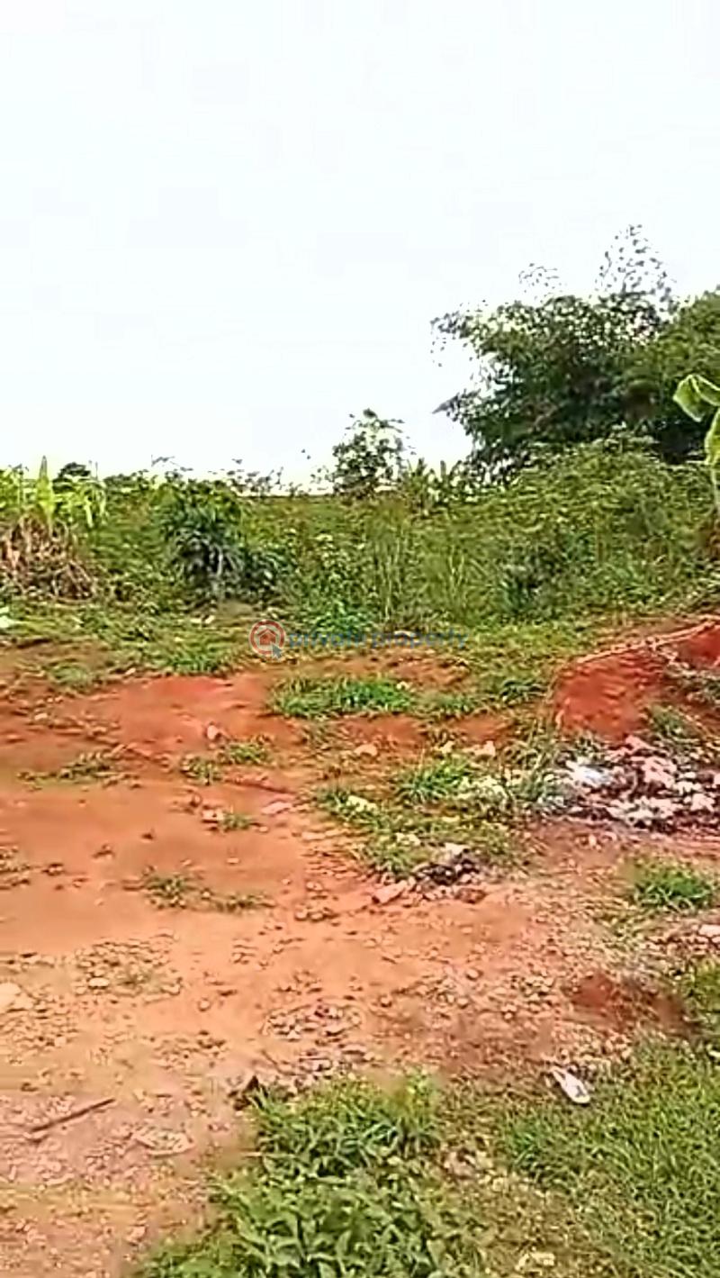 Mixed use Land For Sale Directly Along Ever Busy Business Hub Benin Ekpoma/auchi Express Road Just Little After Ambrose Alli University School Gate, Ekpoma, Edo State. Benin Edo - 2