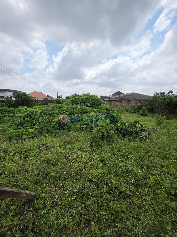 Land For Sale Kongi, New Bodija Ibadan Oyo