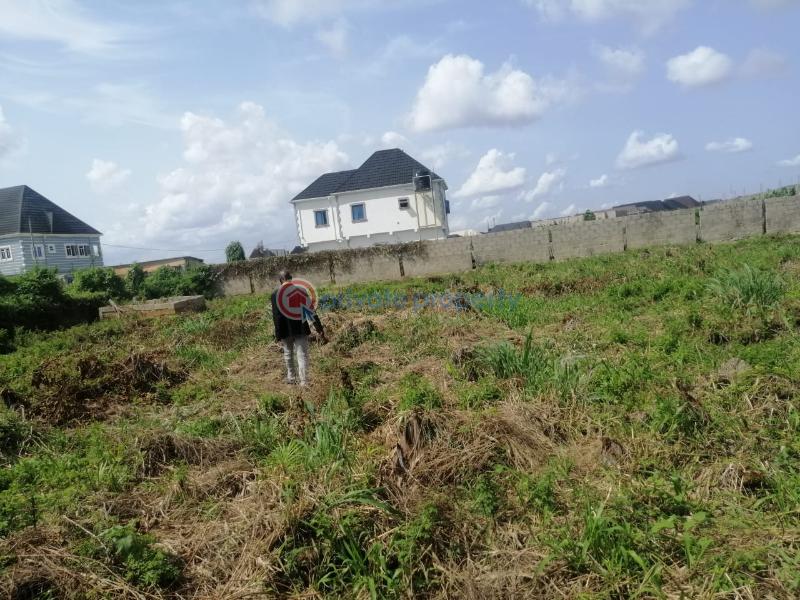 Industrial Land For Sale Amuwo Odofin Lagos - 1