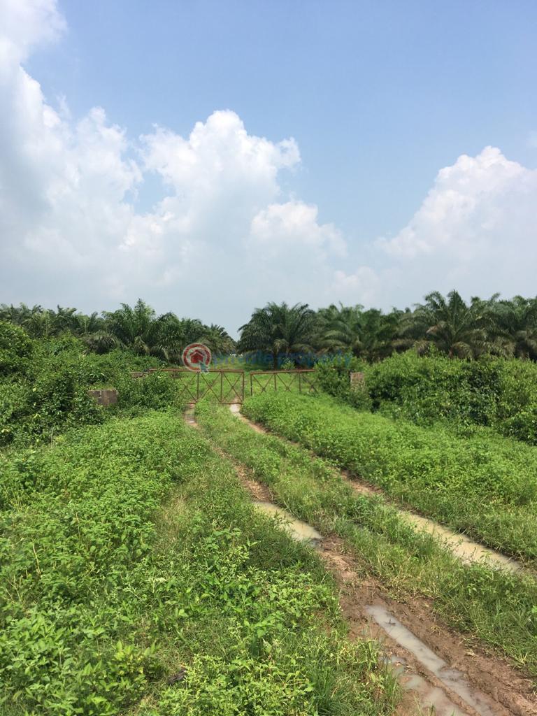 Industrial Land For Sale Amuwo Odofin Lagos - 2