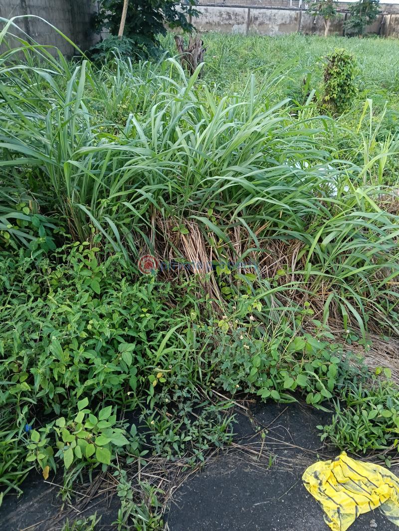 Residential Land For Sale Royal Garden Estate Ajah Lagos - 1