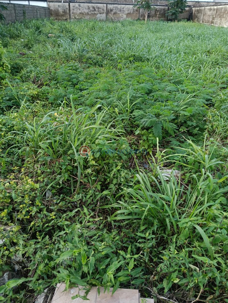 Residential Land For Sale Royal Garden Estate Ajah Lagos - 0
