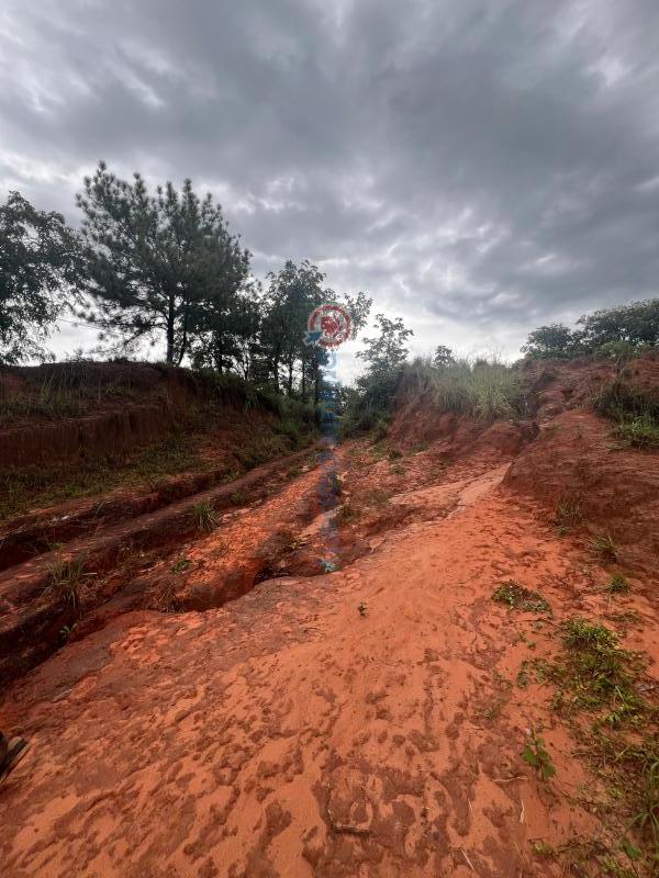 Residential Land For Sale 15 Minutes From Gra Enugu Area  - 7