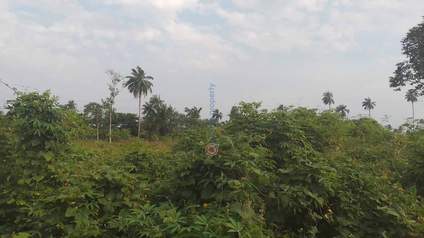 Mixed use Land For Sale Opposite Glass House, Off Ait Road, Opolo/elebele Road, Yenagoa. Bayelsa State Yenegoa Bayelsa - 1