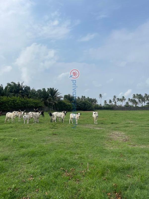 Mixed use Land For Sale Otolu Eleko Ibeju-Lekki Lagos - 1