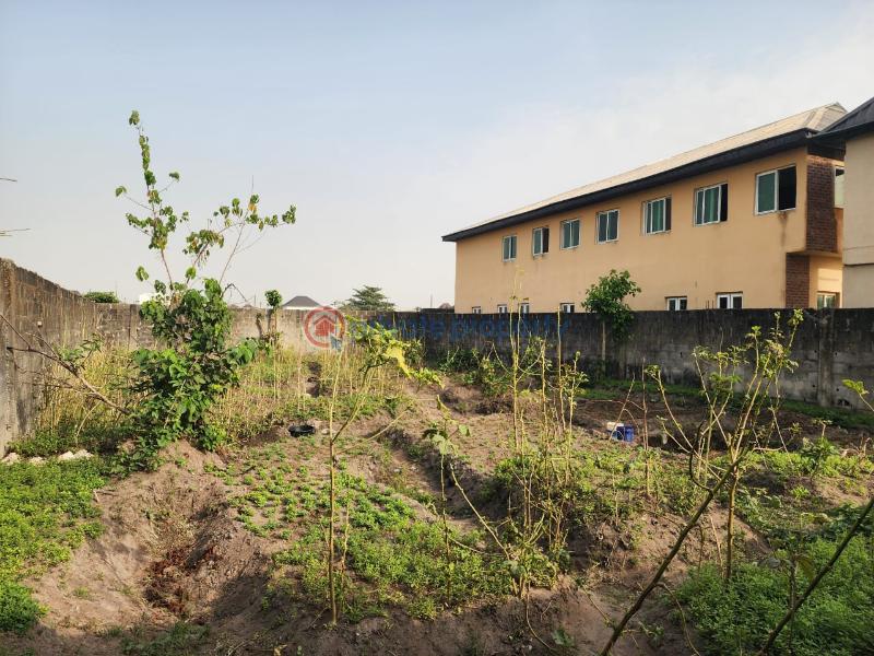 Residential Land For Sale Giwa Park Monastery Road Sangotedo Lagos - 1