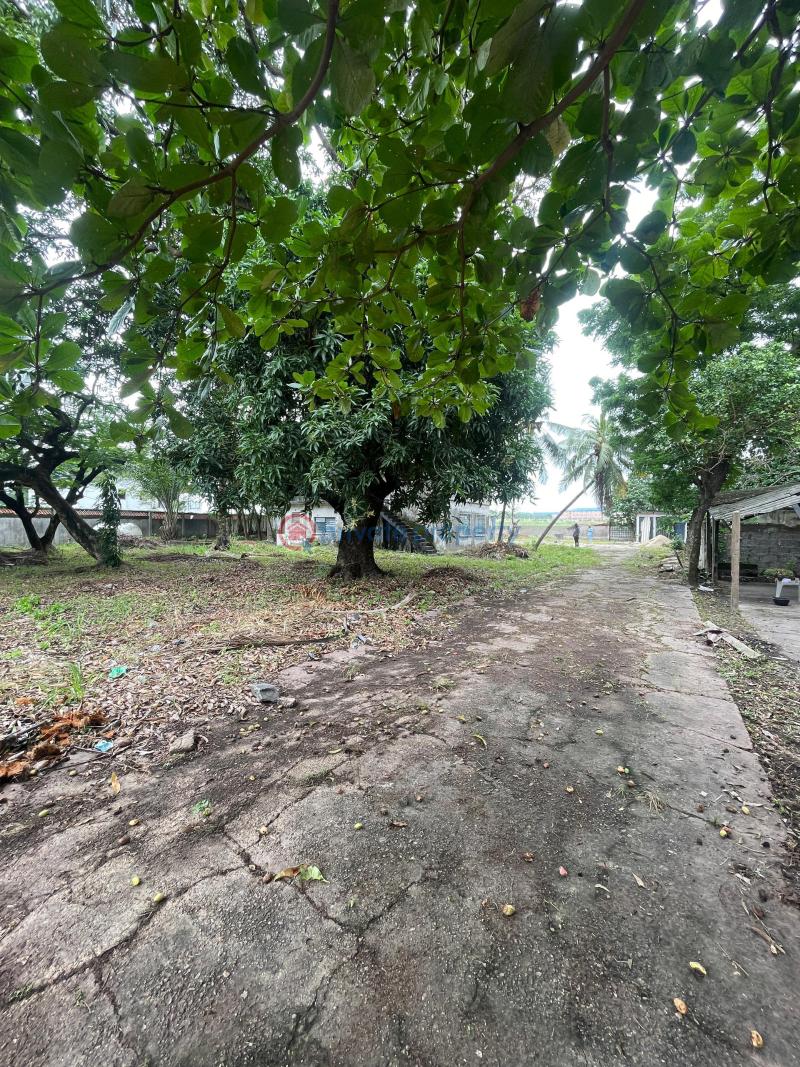 Residential Land For Sale Apapa Road Lagos - 2