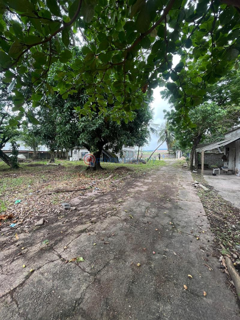 Residential Land For Sale Apapa Road Lagos - 3