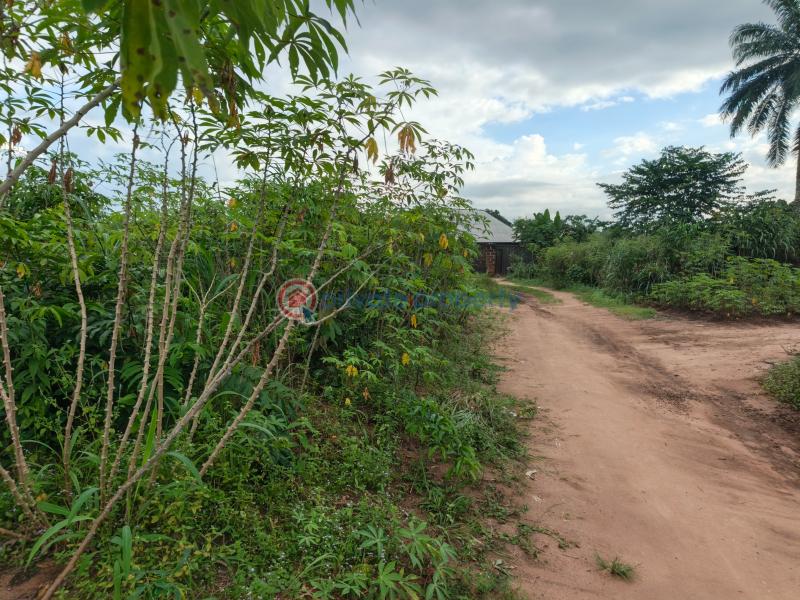 Residential Land For Sale Avu Off Port Road Owerri Imo - 0