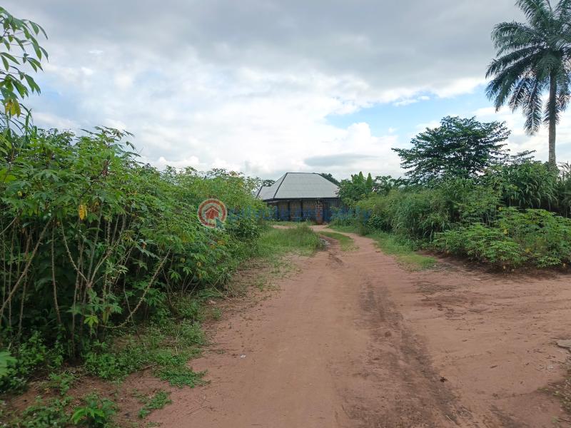 Residential Land For Sale Avu Off Port Road Owerri Imo - 2