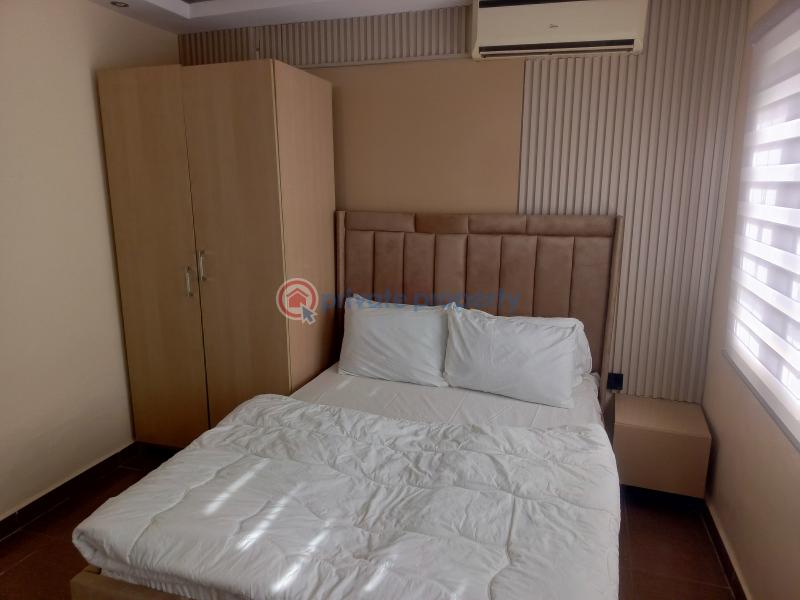 3 bedroom Block Of Flats Short let Agulu Lake/wikki Springs Maitama Abuja Phase 1  - 2