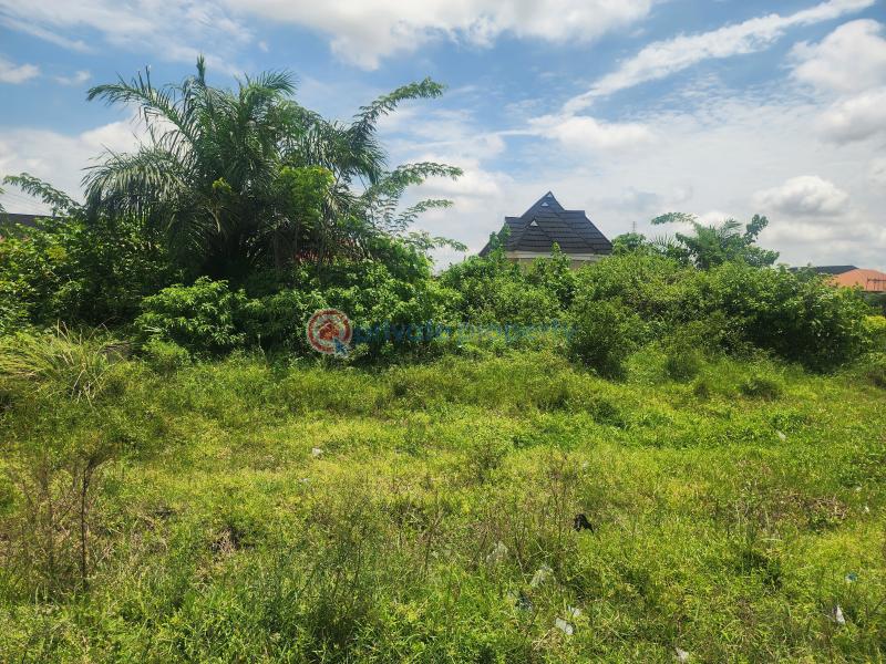 Residential Land For Sale Labora Abijo Gra, Abijo Ajah Lagos - 0