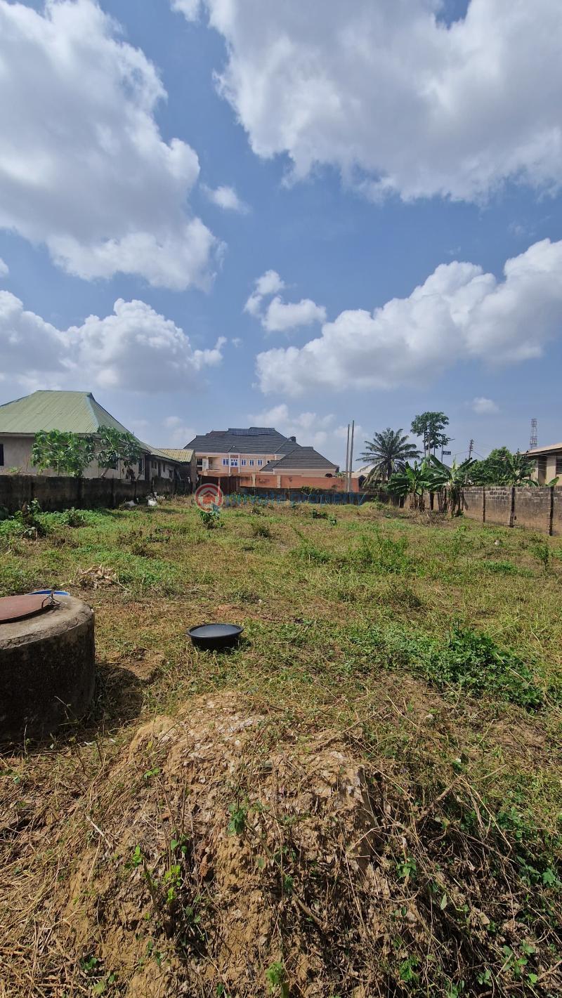 Land For Sale New Ife Road, Alakia, Ibadan. Ibadan Oyo