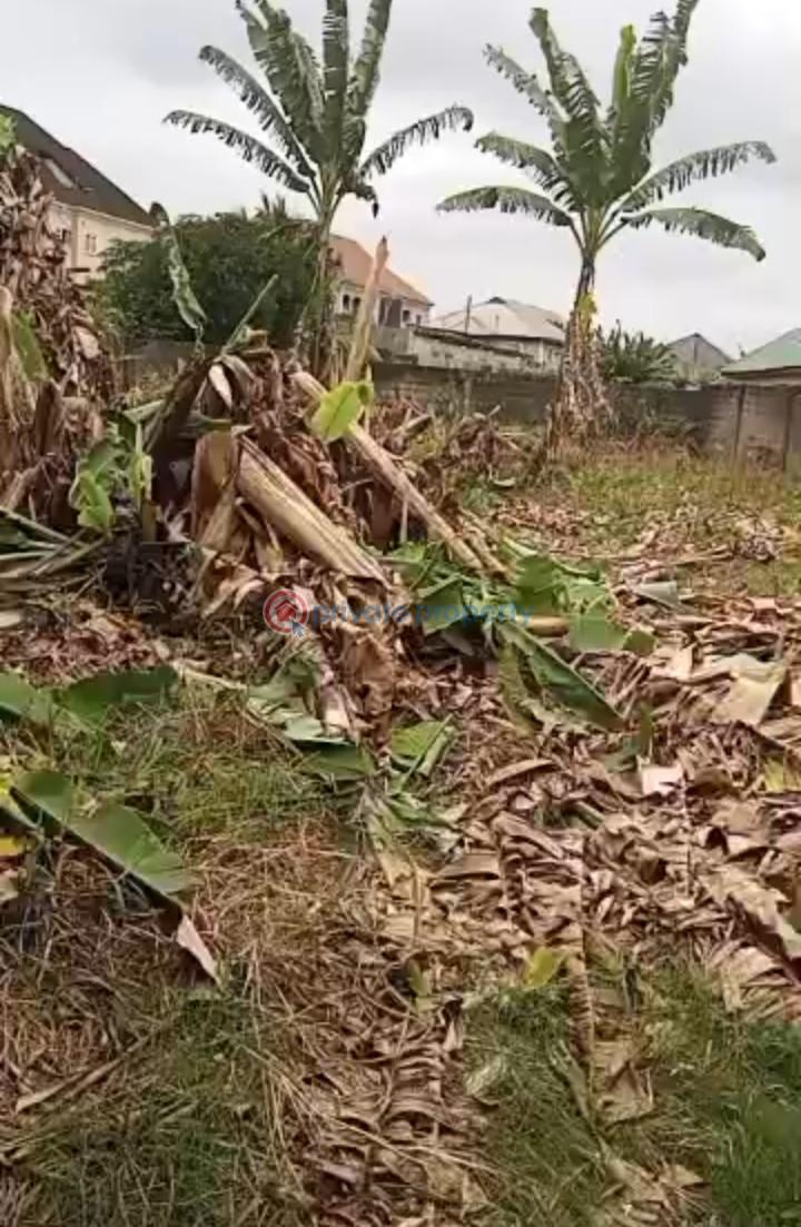Mixed use Land For Sale Iyana Ipaja Lagos - 0