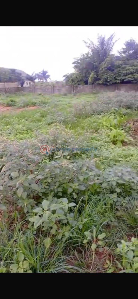 Mixed use Land For Sale Imota Ikorodu Ikorodu Lagos - 2