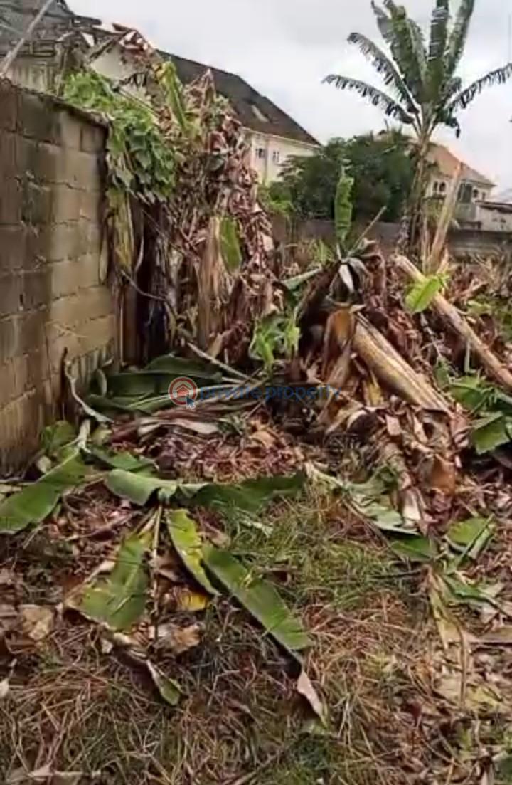 Mixed use Land For Sale Iyana Ipaja Lagos - 2