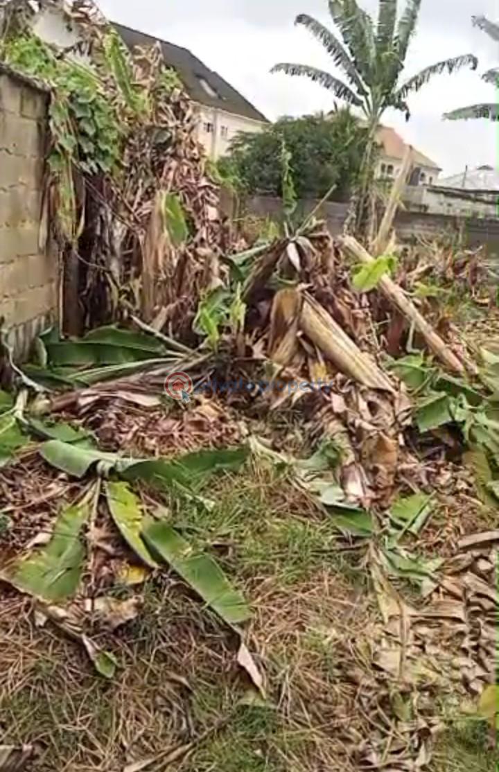 Mixed use Land For Sale Iyana Ipaja Lagos - 4