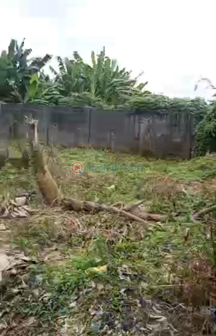 Mixed use Land For Sale Iyana Ipaja Lagos - 3