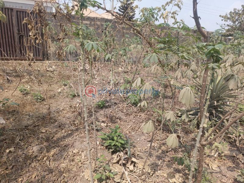 Residential Land For Sale Elebu Road By Bendel Filling Station Akala Express Ibadan Oyo - 0