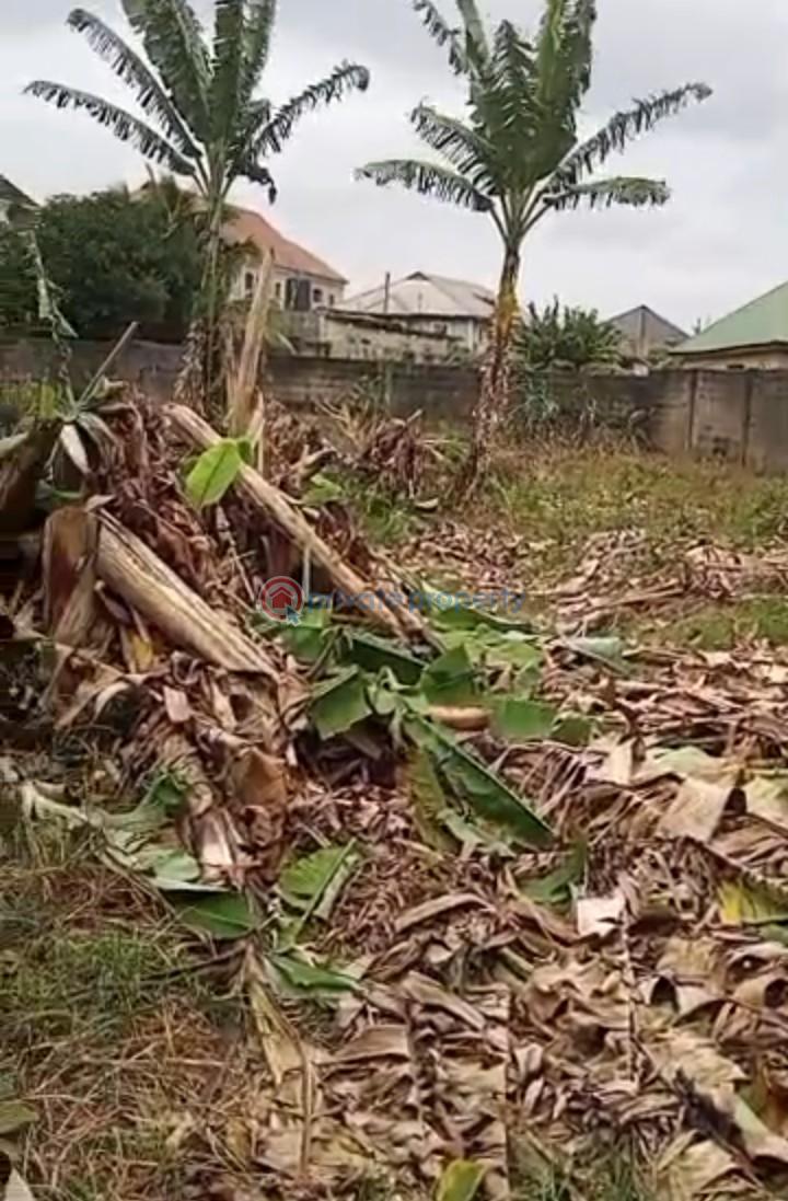 Mixed use Land For Sale Iyana Ipaja Lagos - 1