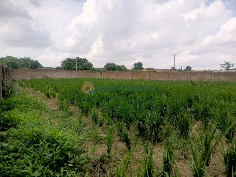 Residential Land For Sale Omololu Olunloyo Gra, Adeoyo Ring Road Ibadan Oyo - 5