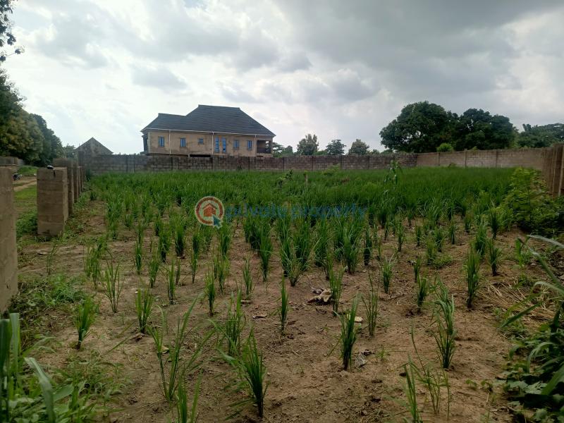 Residential Land For Sale Omololu Olunloyo Gra, Adeoyo Ring Road Ibadan Oyo - 9