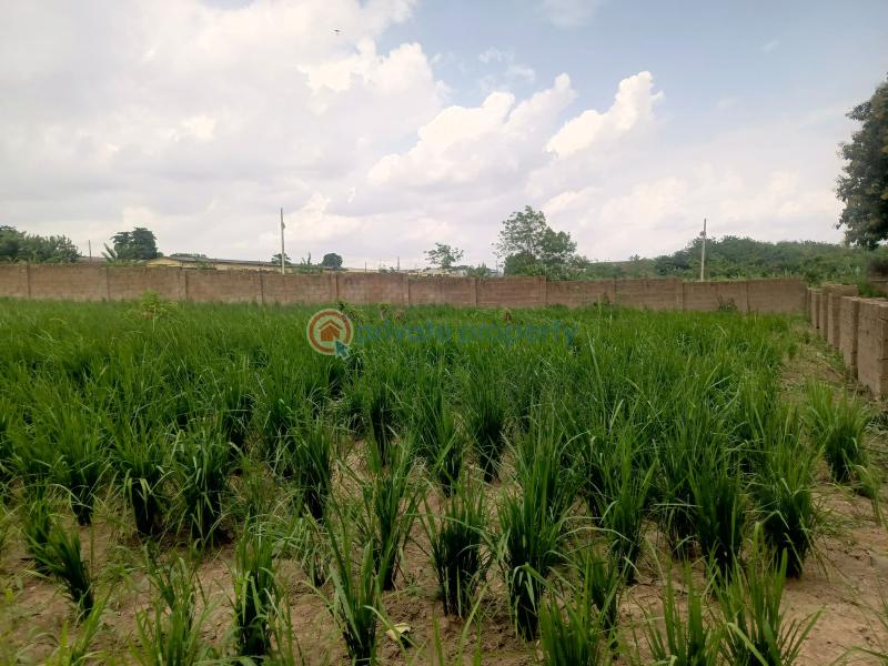 Residential Land For Sale Omololu Olunloyo Gra, Adeoyo Ring Road Ibadan Oyo - 6