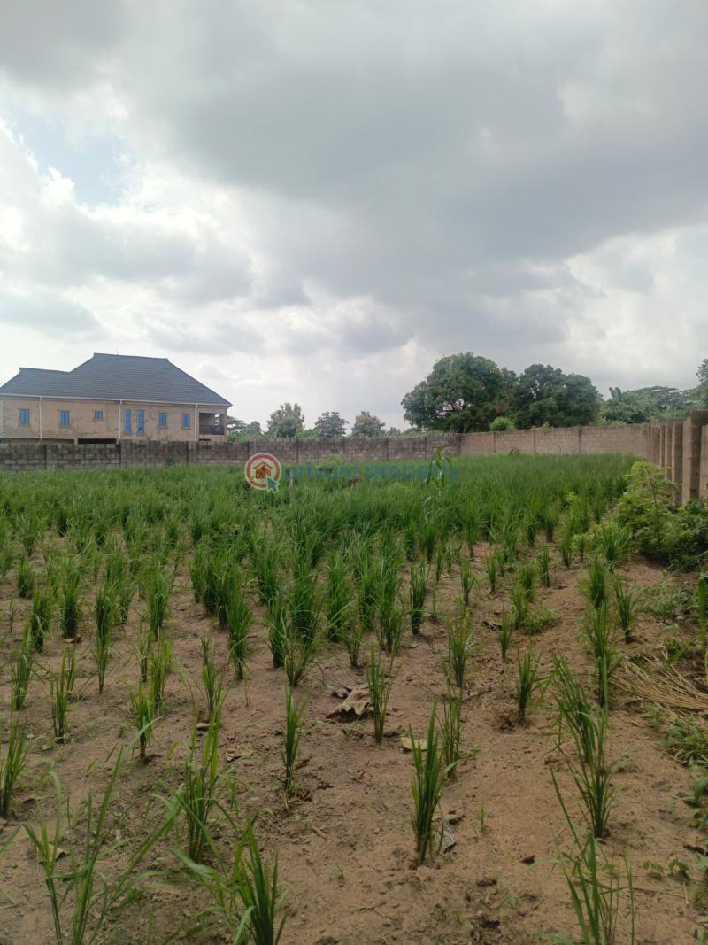 Residential Land For Sale Omololu Olunloyo Gra, Adeoyo Ring Road Ibadan Oyo - 8