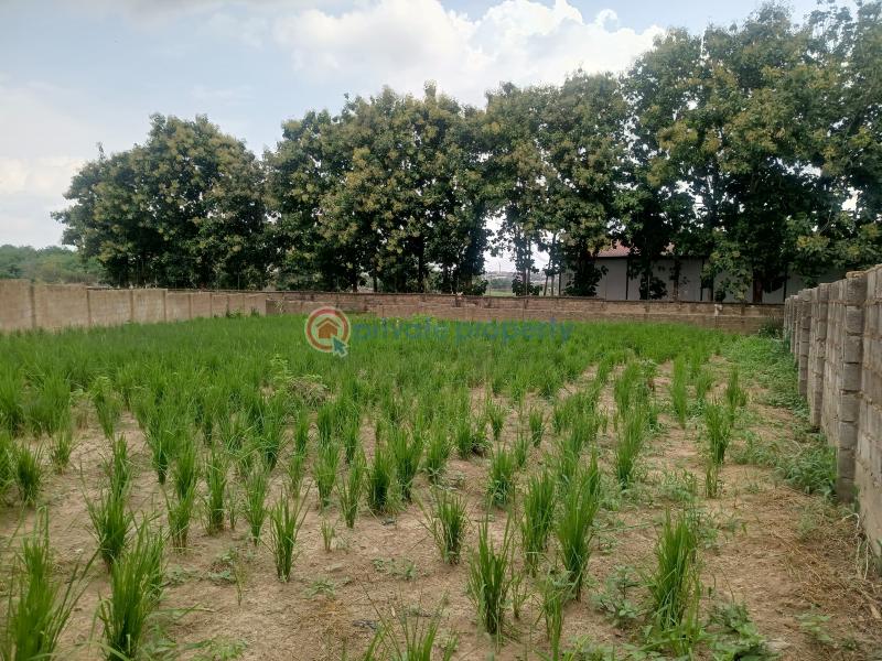 Residential Land For Sale Omololu Olunloyo Gra, Adeoyo Ring Road Ibadan Oyo - 4