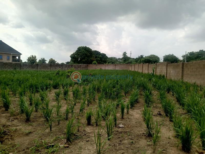 Residential Land For Sale Omololu Olunloyo Gra, Adeoyo Ring Road Ibadan Oyo - 10