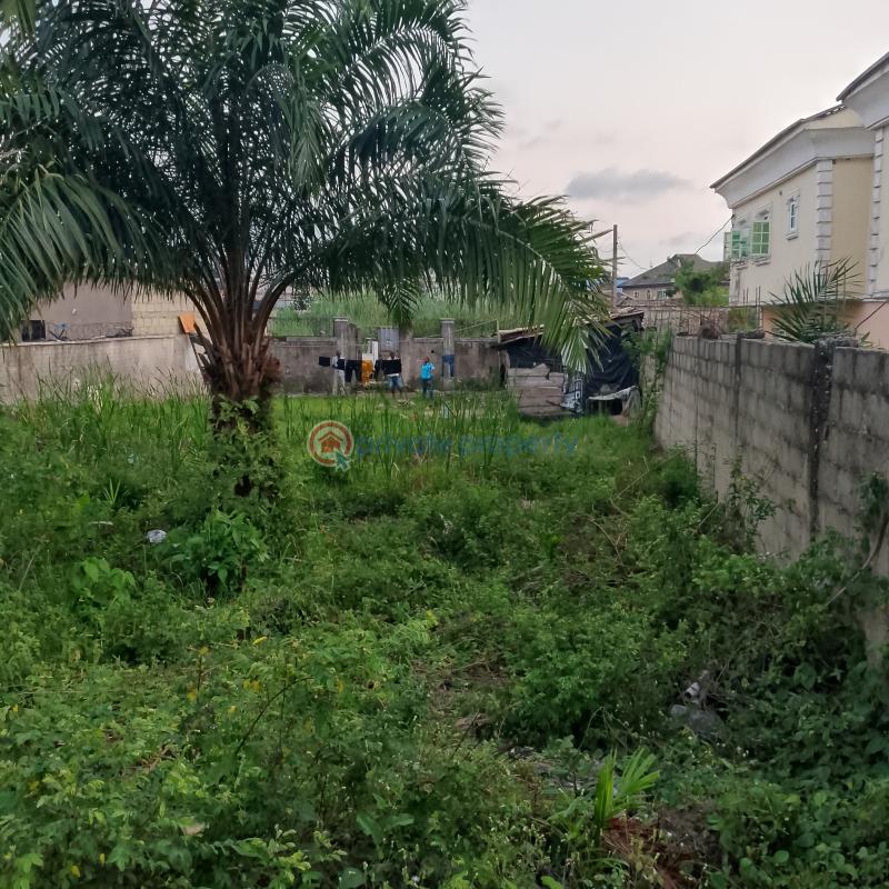 Mixed use Land For Sale Mega Estate, Off Ado/badore Road Badore Ajah Lagos - 2