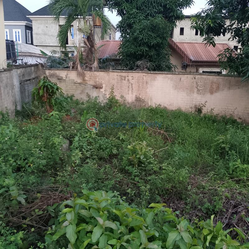 Mixed use Land For Sale Mega Estate, Off Ado/badore Road Badore Ajah Lagos - 4