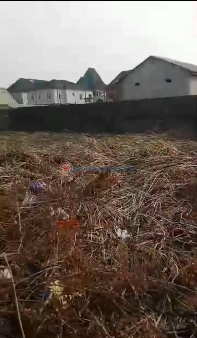 Land For Sale Peter Imemessi Street Satellite Town, Ojo Lagos - 1